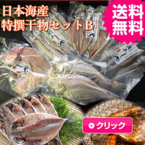 日本海山陰境港干物アジの開きはたはたいかカレイ