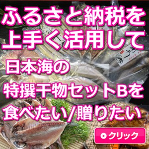 日本海,山陰,鳥取,境港,干物,ふるさと納税