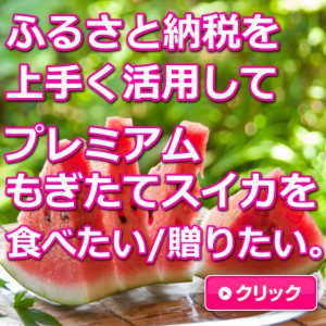 大栄すいか,鳥取,ふるさと納税