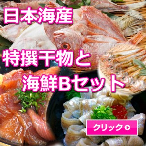 日本海,山陰,鳥取,境港,干物,海鮮