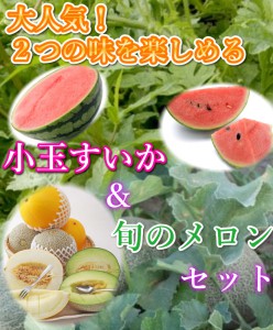 鳥取　大栄スイカ　メロン