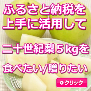鳥取,二十世紀梨,5kg,ふるさと納税