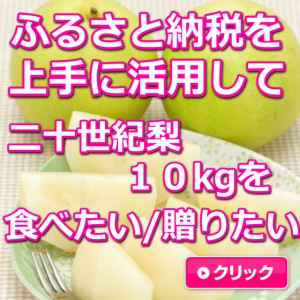 鳥取,二十世紀梨,１０ｋｇ,ふるさと納税