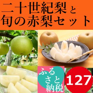 鳥取,二十世紀梨,旬,赤梨,セット,ふるさと納税