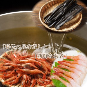 日本海　海老　海鮮丼　鳥取　境港