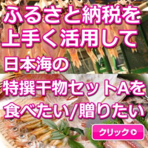 日本海,山陰,鳥取,境港,干物,ふるさと納税