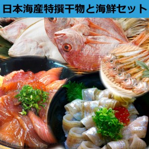 日本海,山陰,鳥取,境港,干物,海鮮