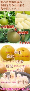 鳥取　二十世紀梨, 赤梨, 幸水梨,秋栄