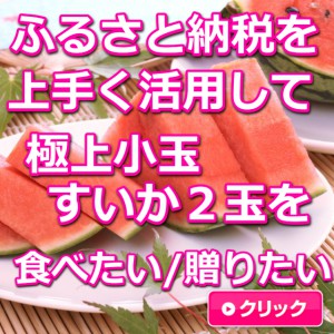 鳥取,大栄すいか,極上小玉すいか,糖度１４度