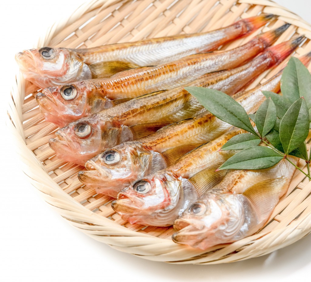日本海産鮮魚の特選干物セット|山陰|鳥取|境港|通販|お取り寄せ 高間商店