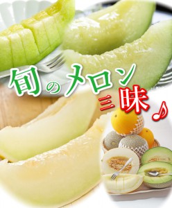 鳥取　メロン