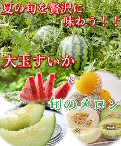 鳥取　大栄スイカ　メロン