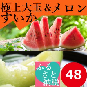 鳥取,大栄すいか,ふるさと納税,糖度１３度,１４度,メロン,ペルルメロン,タカミメロン,クレオパトラ