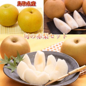 鳥取　赤梨