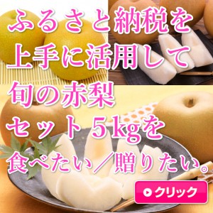鳥取,赤梨,ふるさと納税
