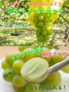 シャインマスカット,ぶどう,糖度２０度,鳥取,北栄町,甘い,美味しい