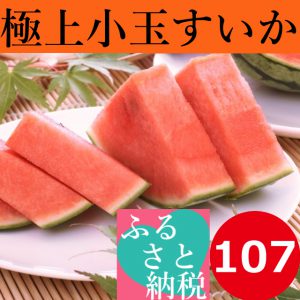 鳥取,大栄,小玉すいか,畑,糖度,１３度,14度,西瓜