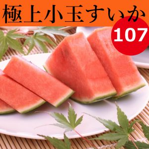 鳥取,大栄,小玉すいか,畑,糖度,１３度,14度,西瓜